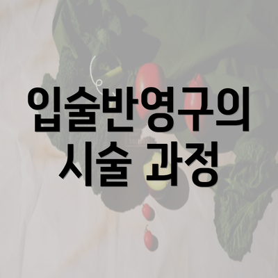 입술반영구의 시술 과정