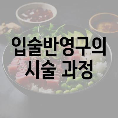 입술반영구의 시술 과정