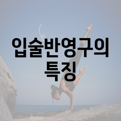 입술반영구의 특징