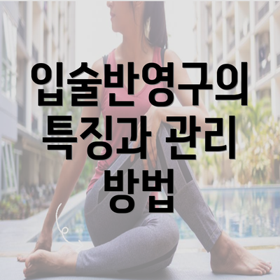 입술반영구의 특징과 관리 방법