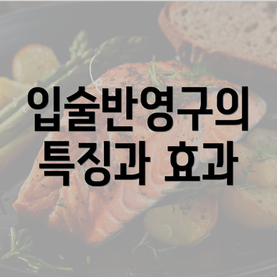 입술반영구의 특징과 효과