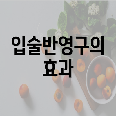 입술반영구의 효과