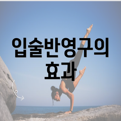 입술반영구의 효과