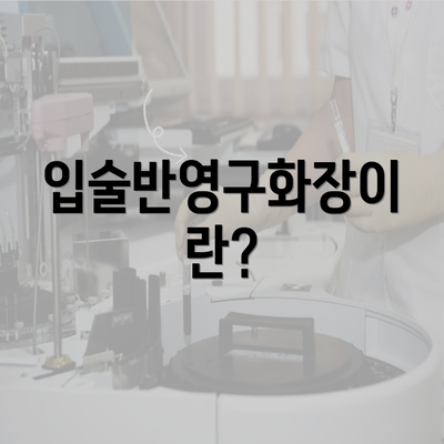 입술반영구화장이란?