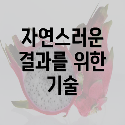 자연스러운 결과를 위한 기술