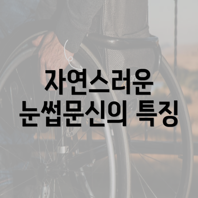 자연스러운 눈썹문신의 특징