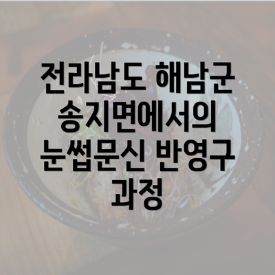 전라남도 해남군 송지면에서의 눈썹문신 반영구 과정