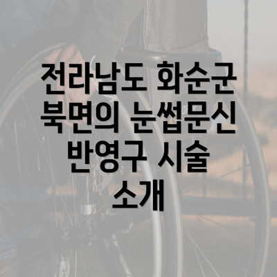 전라남도 화순군 북면의 눈썹문신 반영구 시술 소개