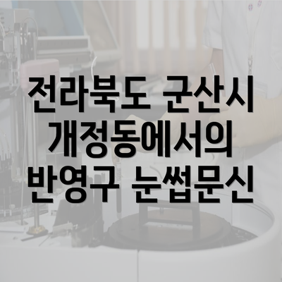 전라북도 군산시 개정동에서의 반영구 눈썹문신