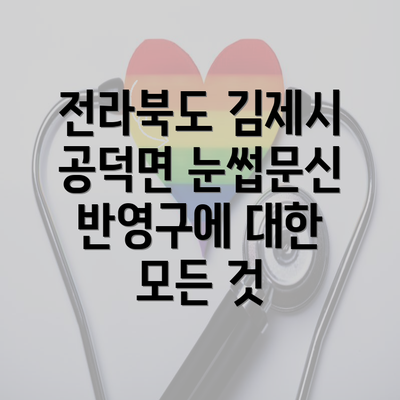 전라북도 김제시 공덕면 눈썹문신 반영구에 대한 모든 것