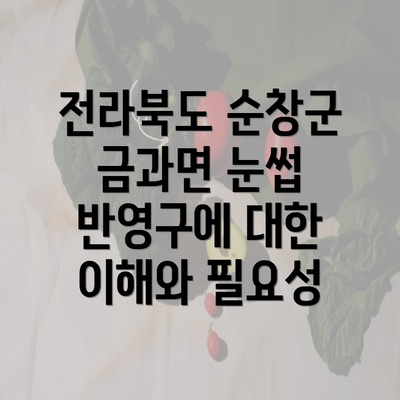 전라북도 순창군 금과면 눈썹 반영구에 대한 이해와 필요성