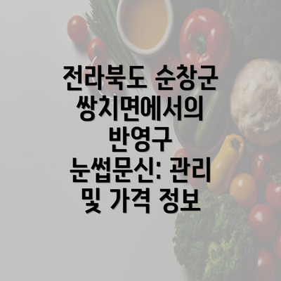 전라북도 순창군 쌍치면에서의 반영구 눈썹문신: 관리 및 가격 정보