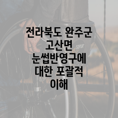 전라북도 완주군 고산면 눈썹반영구에 대한 포괄적 이해