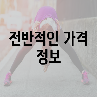 전반적인 가격 정보