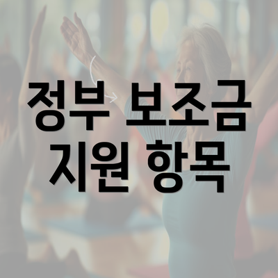 정부 보조금 지원 항목