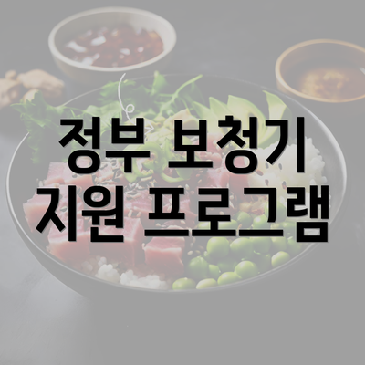 정부 보청기 지원 프로그램