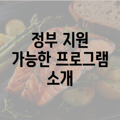 정부 지원 가능한 프로그램 소개