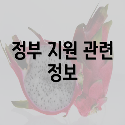 정부 지원 관련 정보