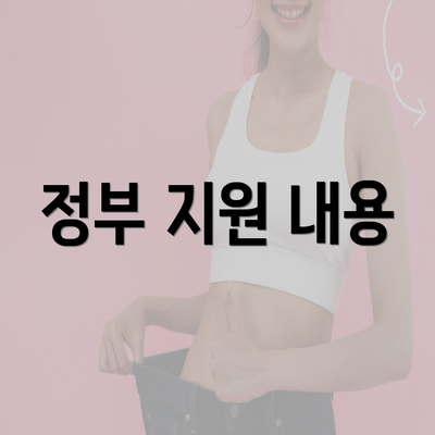 정부 지원 내용