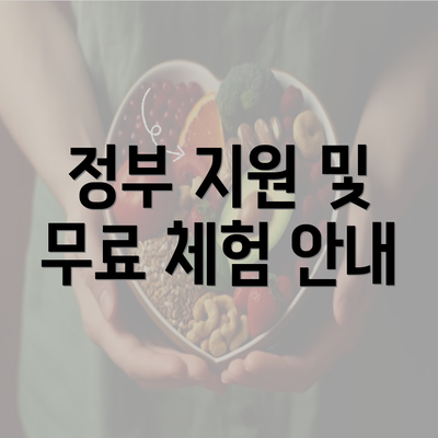 정부 지원 및 무료 체험 안내