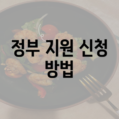 정부 지원 신청 방법