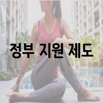 정부 지원 제도