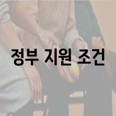 정부 지원 조건