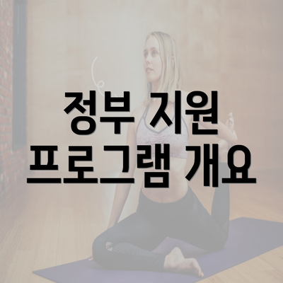 정부 지원 프로그램 개요