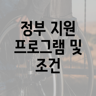 정부 지원 프로그램 및 조건