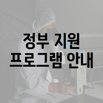 정부 지원 프로그램 안내