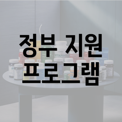 정부 지원 프로그램