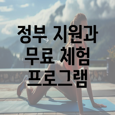 정부 지원과 무료 체험 프로그램