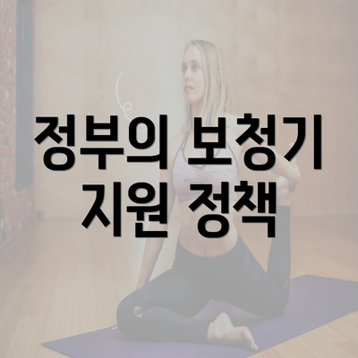 정부의 보청기 지원 정책