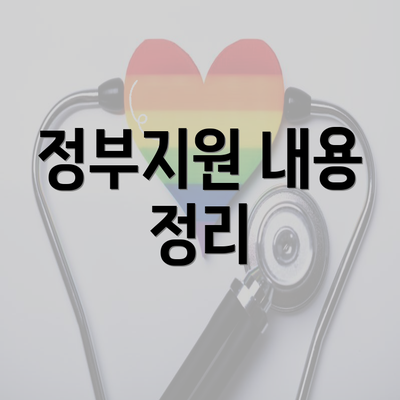 정부지원 내용 정리