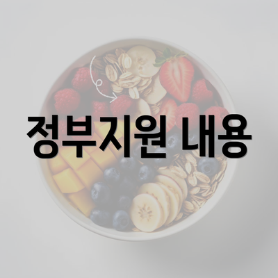 정부지원 내용