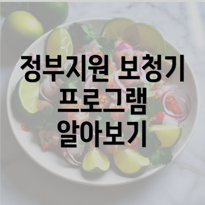 정부지원 보청기 프로그램 알아보기