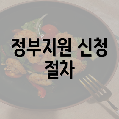 정부지원 신청 절차