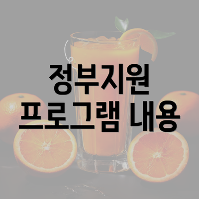 정부지원 프로그램 내용