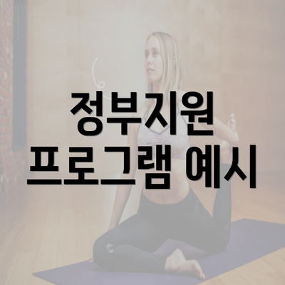 정부지원 프로그램 예시