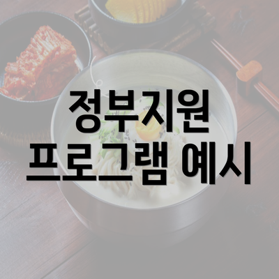 정부지원 프로그램 예시