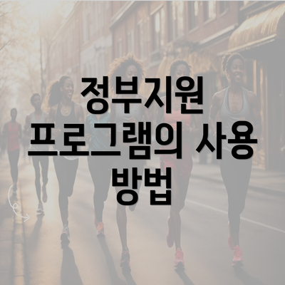 정부지원 프로그램의 사용 방법