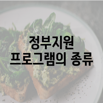 정부지원 프로그램의 종류