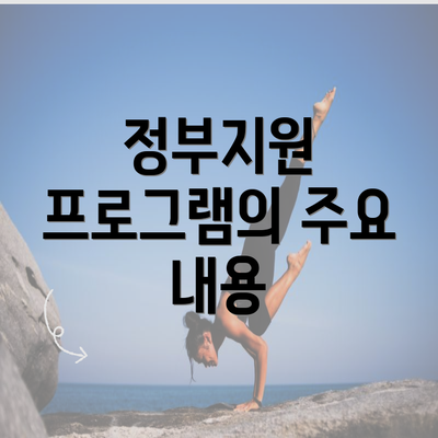 정부지원 프로그램의 주요 내용