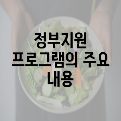 정부지원 프로그램의 주요 내용