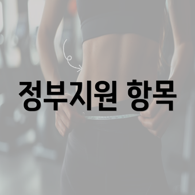 정부지원 항목