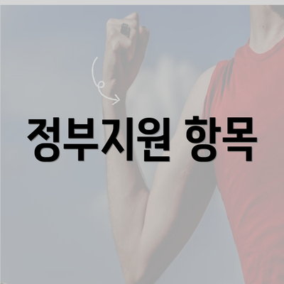 정부지원 항목