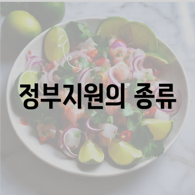 정부지원의 종류