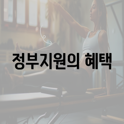 정부지원의 혜택