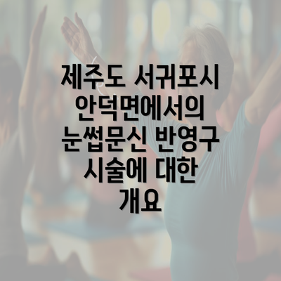 제주도 서귀포시 안덕면에서의 눈썹문신 반영구 시술에 대한 개요