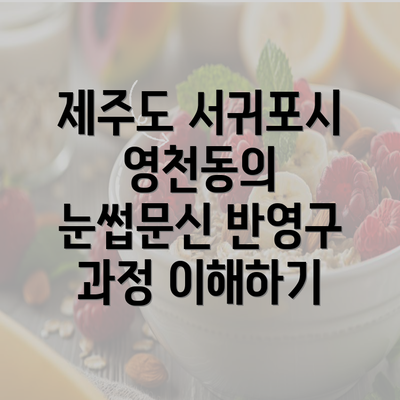 제주도 서귀포시 영천동의 눈썹문신 반영구 과정 이해하기